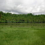 SANYO DIGITAL CAMERA